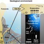 A New Theory About How Life Originated on Earth and Elsewhere