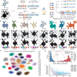 Biology Has An Answer For Massive Data Storage – DNA